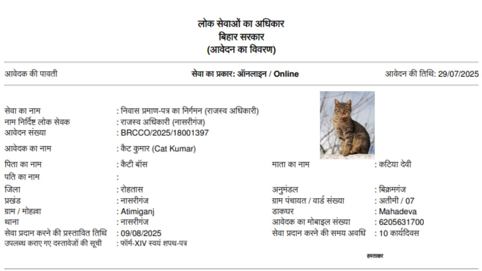 Bihar-Cat-Niwas