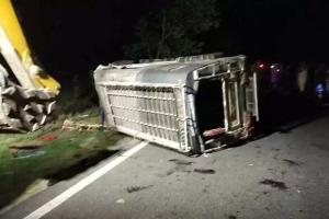 पलामू : डीजे वाहन की टक्कर से चार की मौत, अधिक घायल