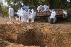 होली से पहले पटना में बर्ड फ्लू की पुष्टि, 6 हजार मुर्गियां दफन; जू और प्रशासन हाई अलर्ट पर